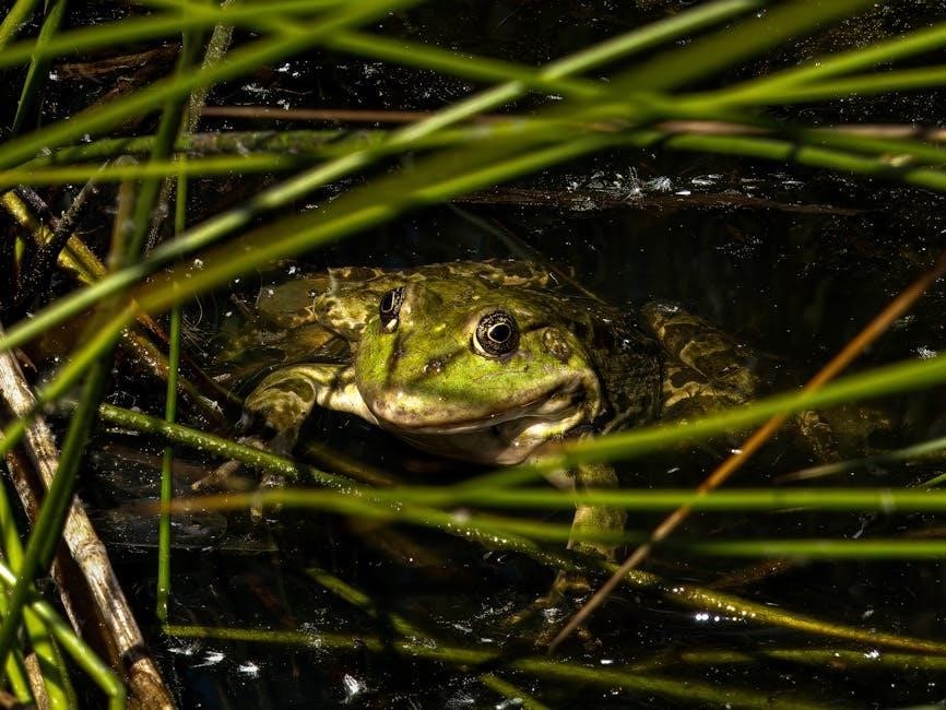 Marcy's Journal: Your Ultimate Guide to Amphibia